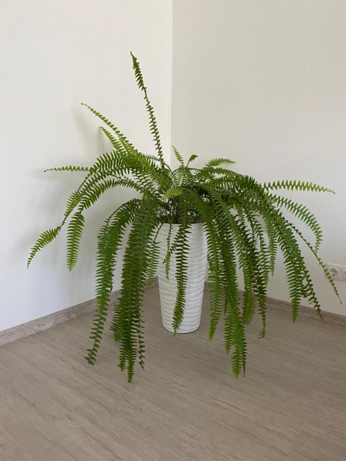 Centra Apartamenti Alūksne Екстериор снимка